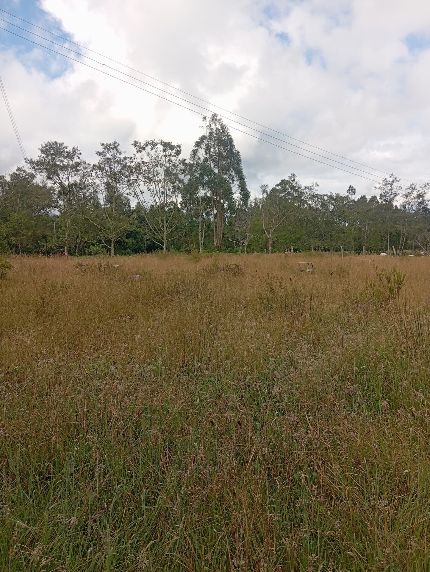 Lote rural en Capilla 2 — 19.200 m² — Lote en Villa de Leyva