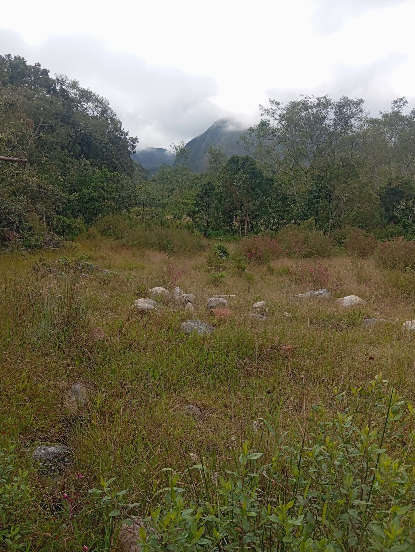 Lote rural en Capilla 2 — 19.200 m² — Foto 2