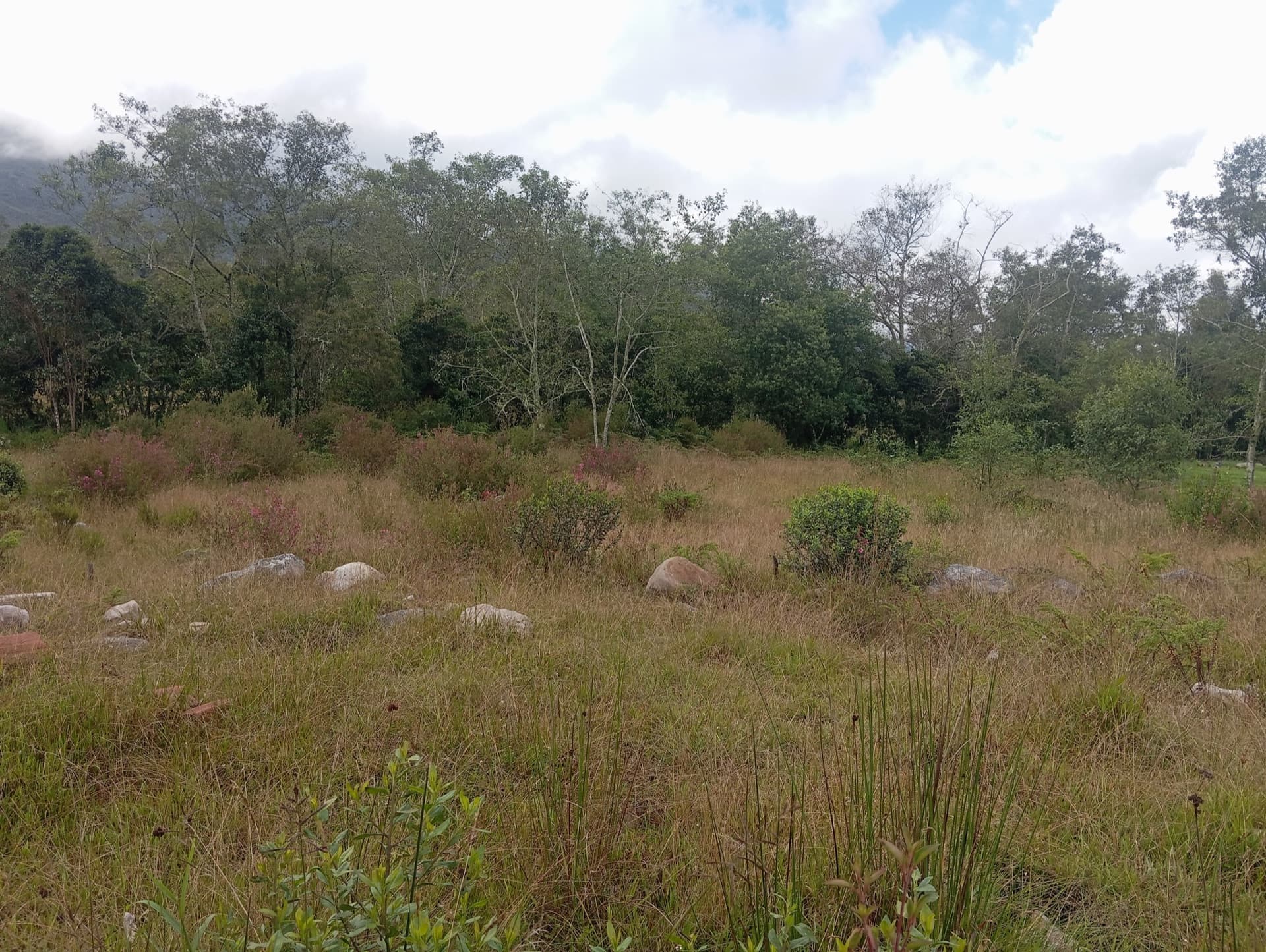 Lote rural en Capilla 2 — 19.200 m² — Foto 3