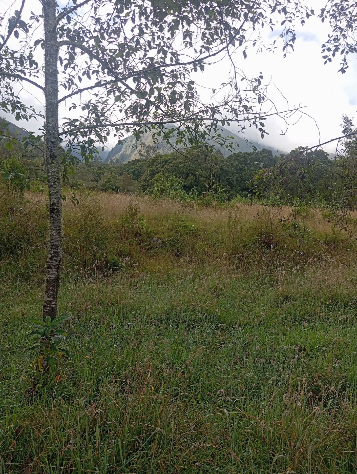 Lote rural en Capilla 2 — 19.200 m² — Foto 5
