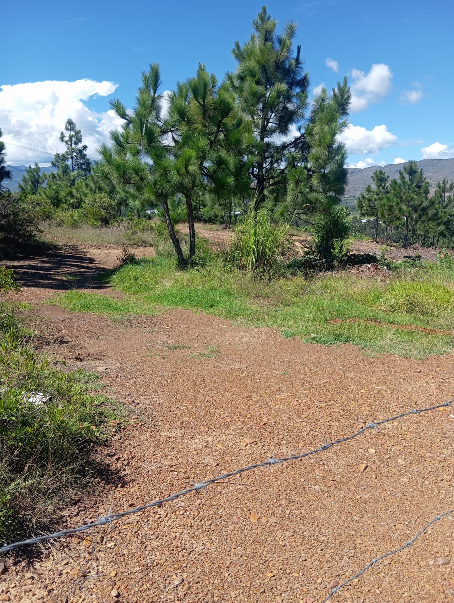 Lote rural en Vereda Sopotá 2.5 km vía Pozos Azules — 5.800 m² — Lote en Villa de Leyva