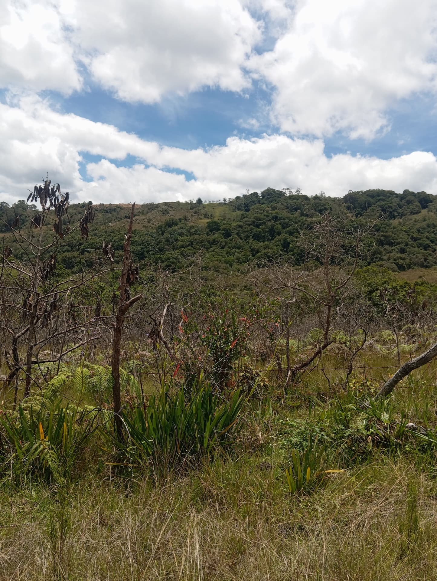 Lote rural en Gachantivá vereda Los Naranjos — Foto 4