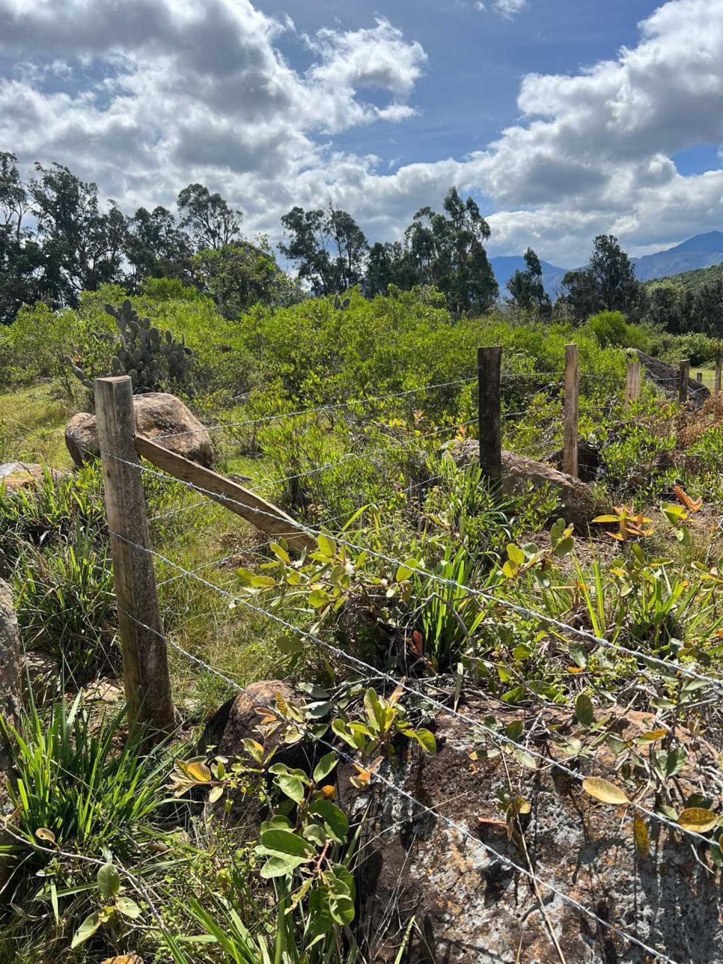 Lote rural en Sutamarchán — 32.000 m² — Foto 2
