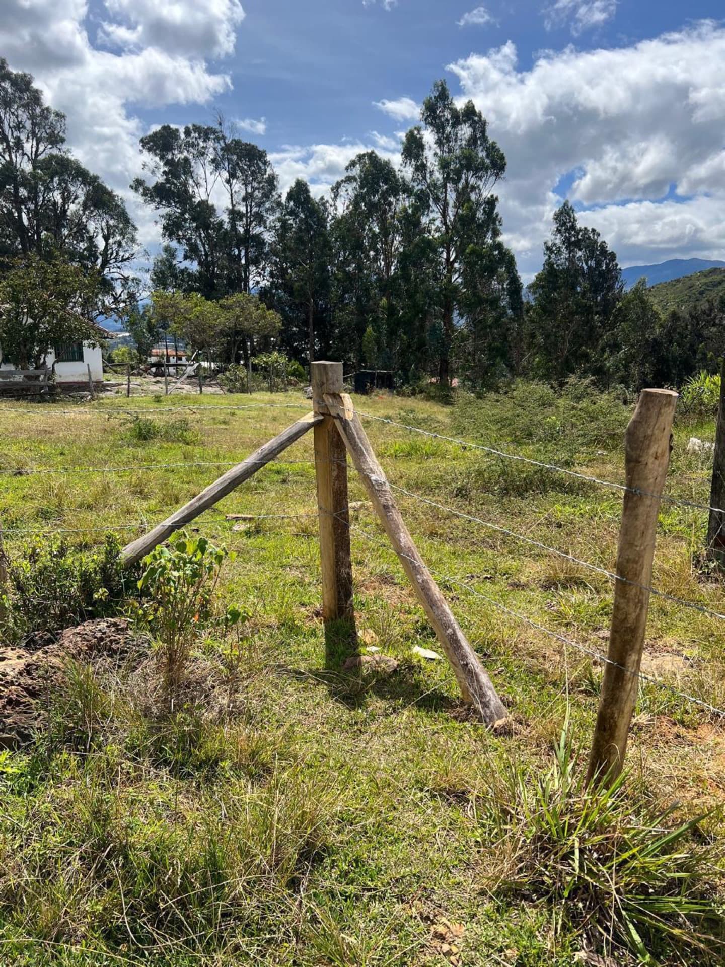 Lote rural en Sutamarchán — 32.000 m² — Foto 3